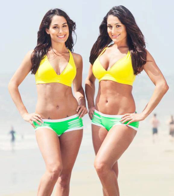 bella-twins-nikki-brie-november-21-1